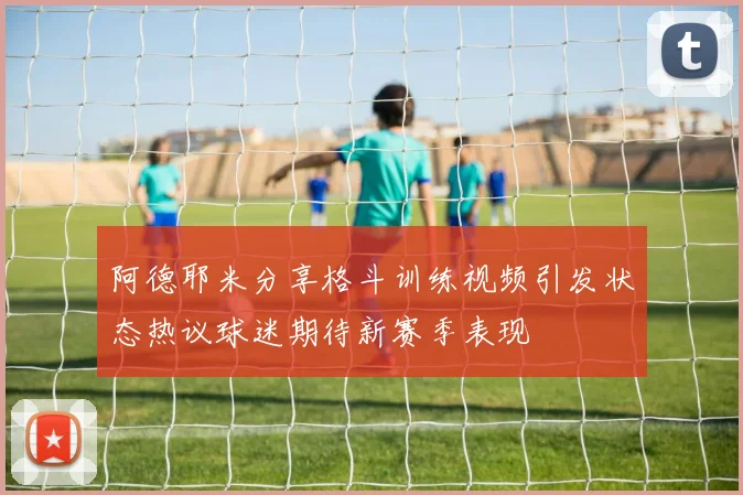 阿德耶米分享格斗训练视频引发状态热议球迷期待新赛季表现